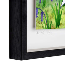 Load image into Gallery viewer, Bluebells - Limited Edition Signed Print - Framed