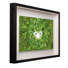 Load image into Gallery viewer, Aisling&#39;s Eyes - Limited Edition Signed Print - Framed

