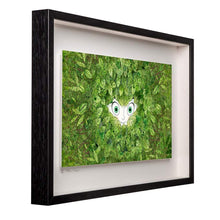 Load image into Gallery viewer, Aisling's Eyes - Limited Edition Signed Print - Framed