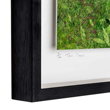 Load image into Gallery viewer, Aisling's Eyes - Limited Edition Signed Print - Framed