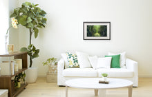 Load image into Gallery viewer, Forest Wall - Limited Edition Signed Print - Framed