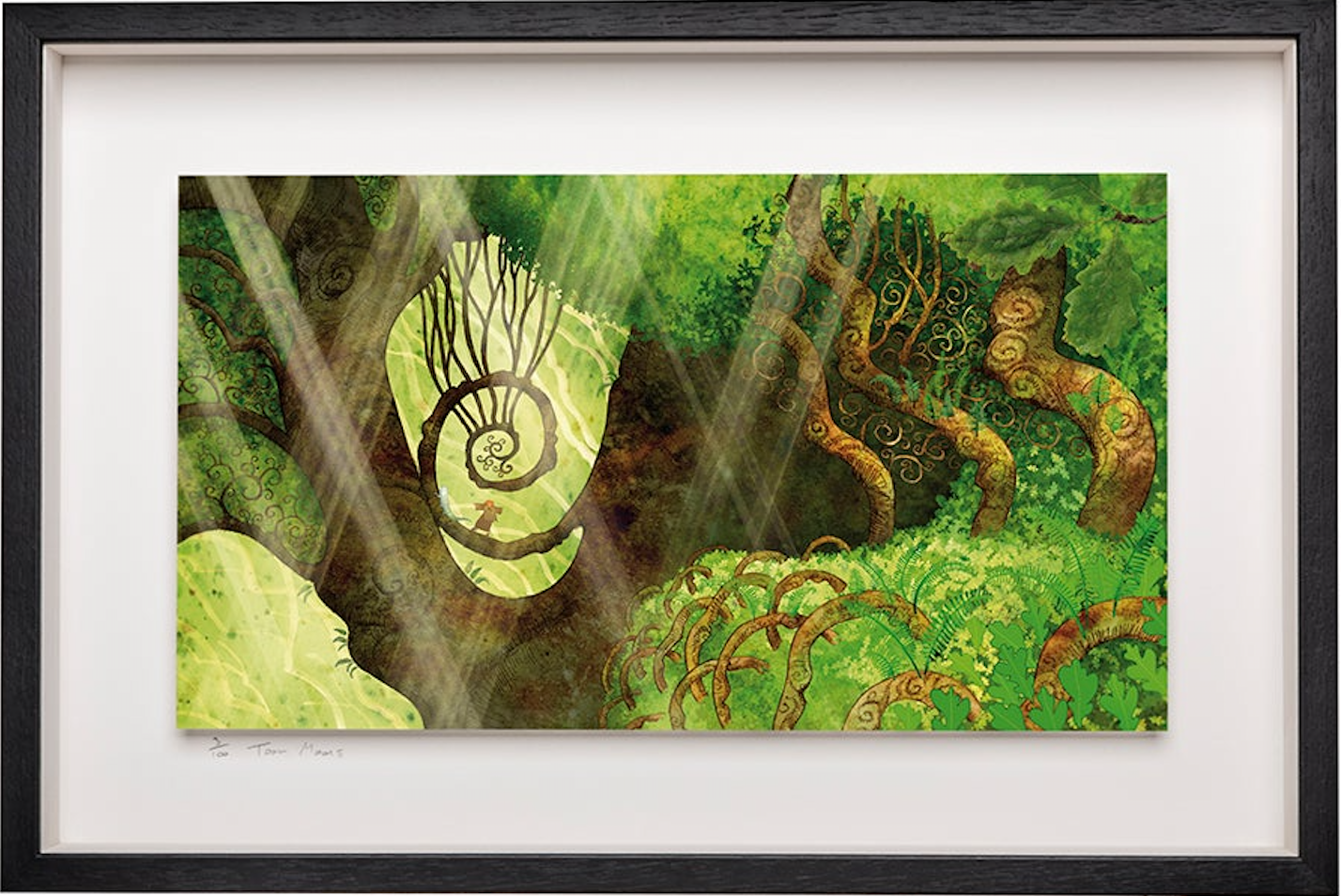 Spiral Oak Tree - Limited Edition Signed Print - Framed