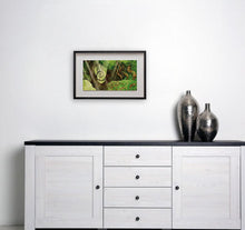 Load image into Gallery viewer, Spiral Oak Tree - Limited Edition Signed Print - Framed
