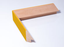 Load image into Gallery viewer, Nevergreen Docks - My Fathers Dragon Limited Edition Signed Print - Honey Yellow edge frame