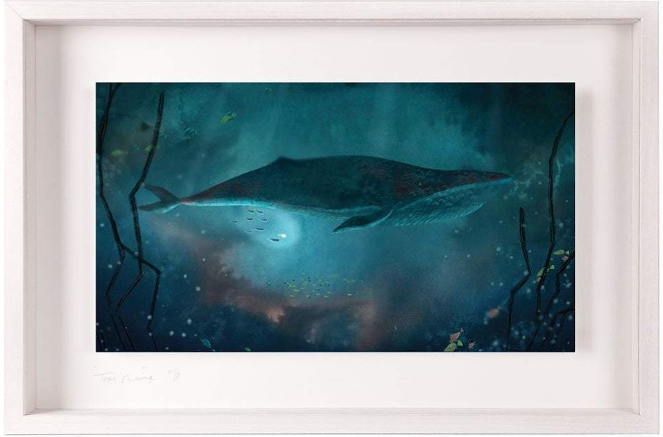 Whale Song - Limited Edition Signed Print - Framed